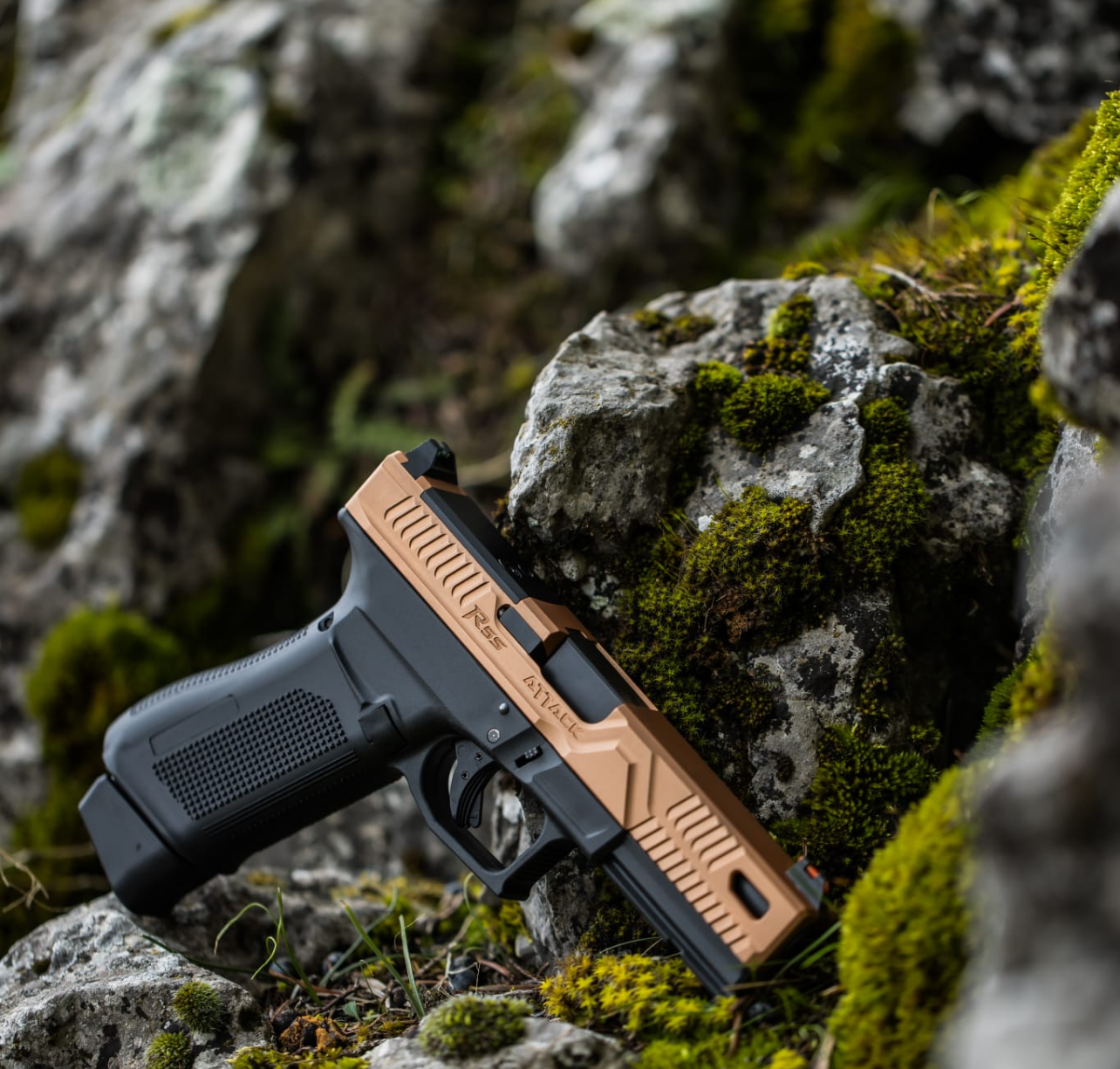 Pistol